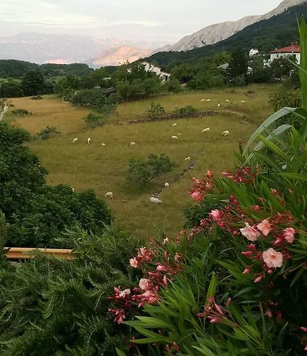 Maja Διαμέρισμα *